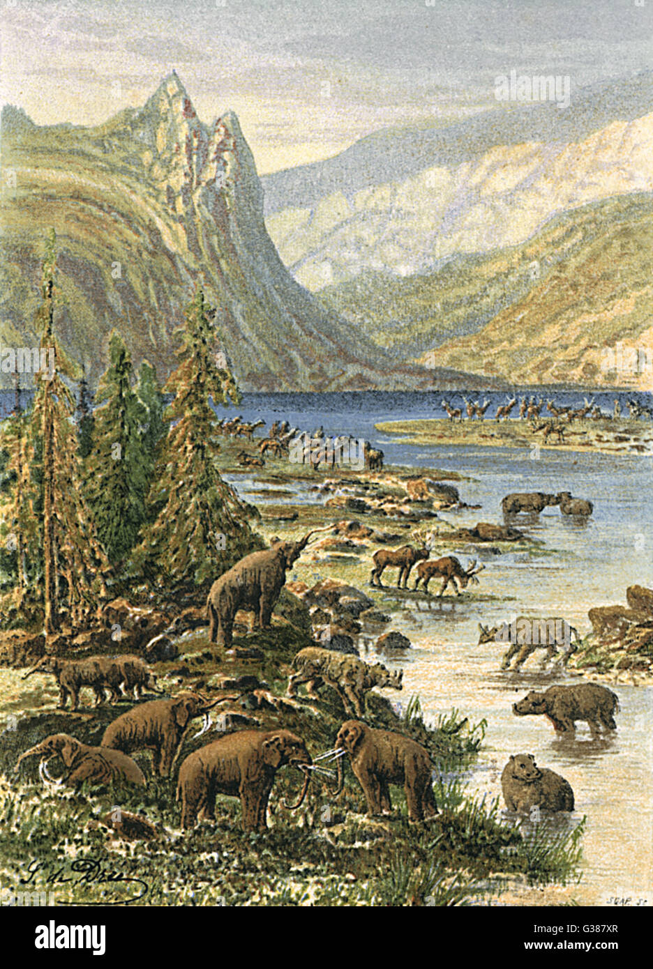 European landscape of the Tertiary period (Paleocene to Pliocene) Date