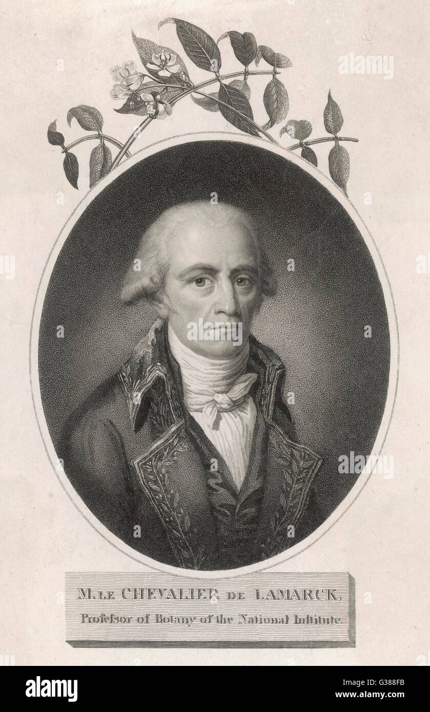 Jean baptiste pierre hi-res stock photography and images - Alamy