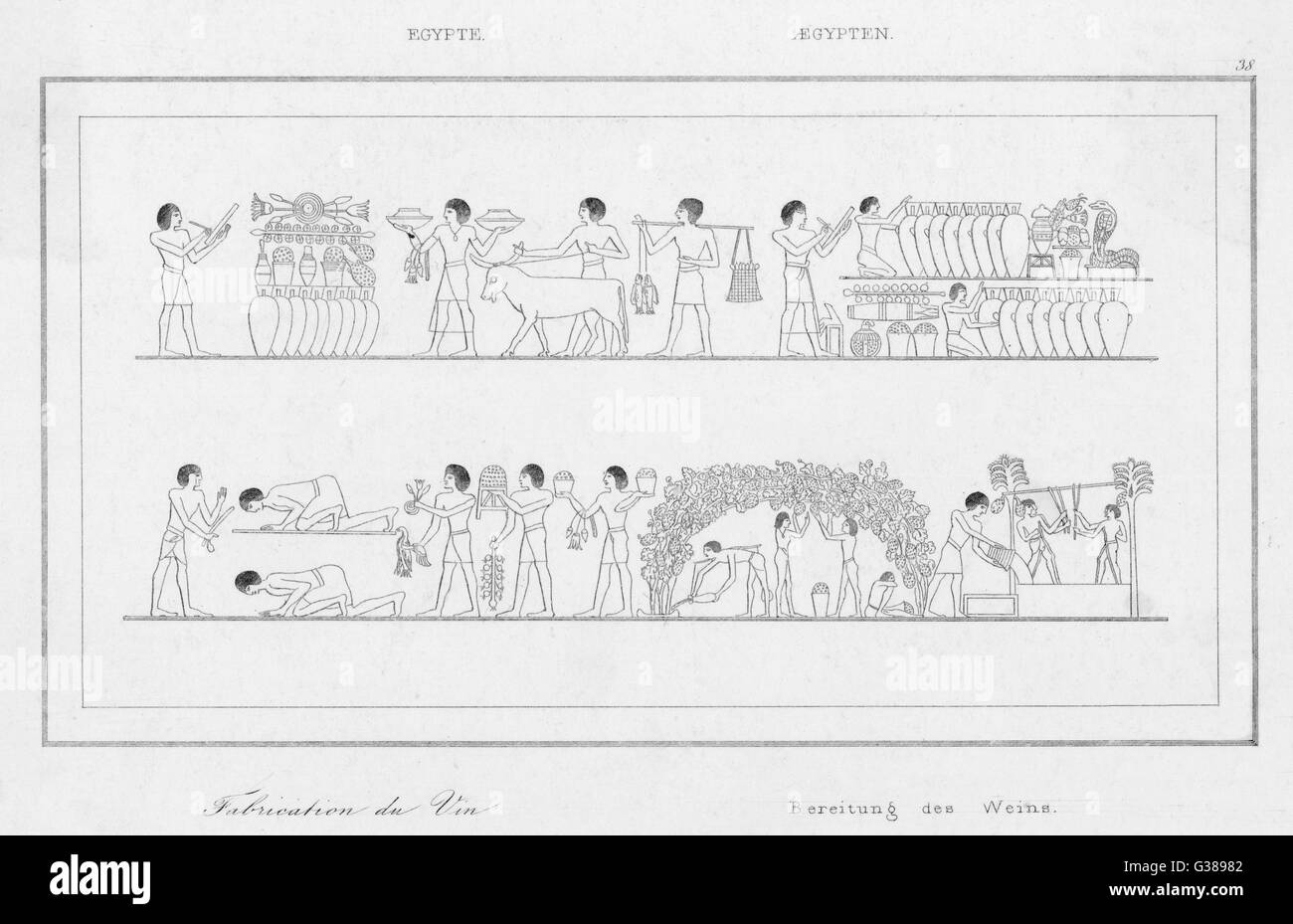 Ancient Egyptian wine cultivation Stock Photo Alamy