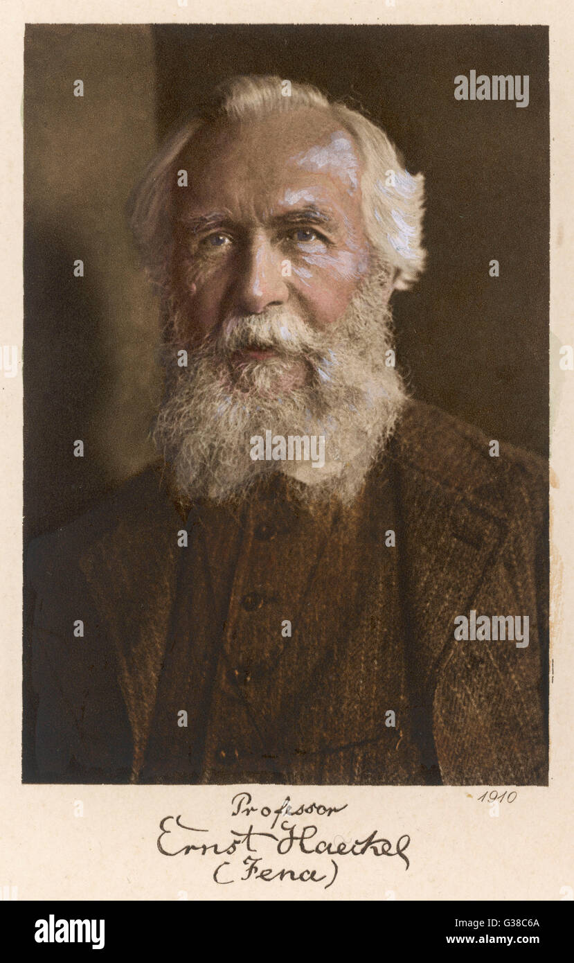Ernst Haeckel Stock Photo