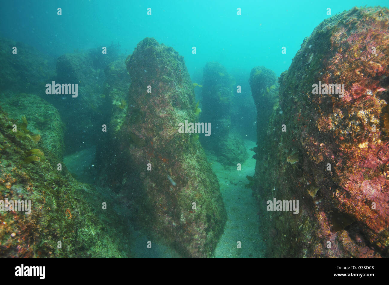 Multiple underwater rocky pinnacles Stock Photo Alamy