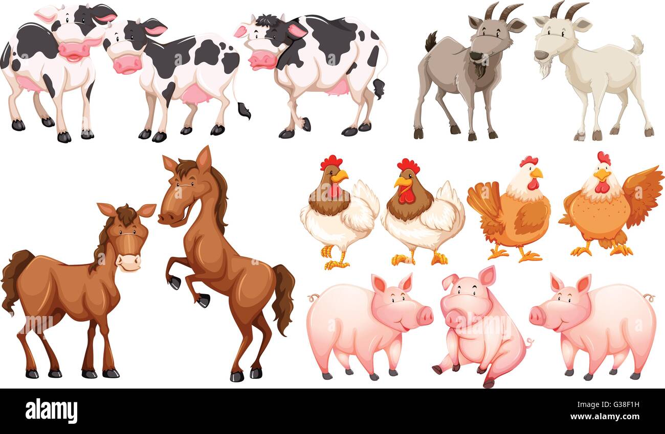 Vector Illustration Different Farm Animals Hi Res Stock Photography And