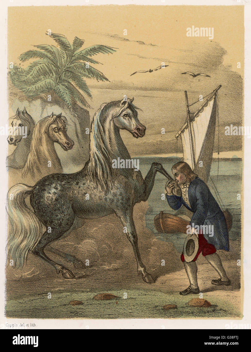 The Houyhnhnm graciously permits Gulliver to kiss his hoof. Date First