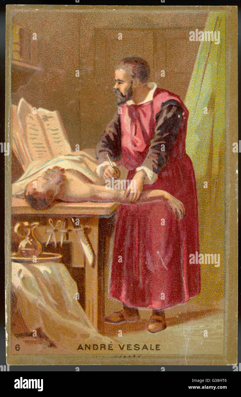 VESALIUS/TRADE CARD Stock Photo