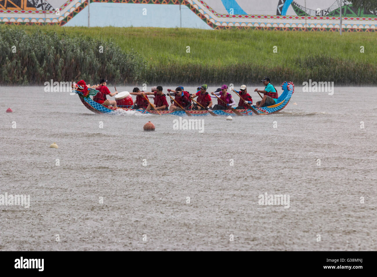A drummer beats out the rhythm for his crew during the annual dragon boat race that took place in heavy rain on Duanwu Festival, better known as Dragon Boat Festival. Stock Photo