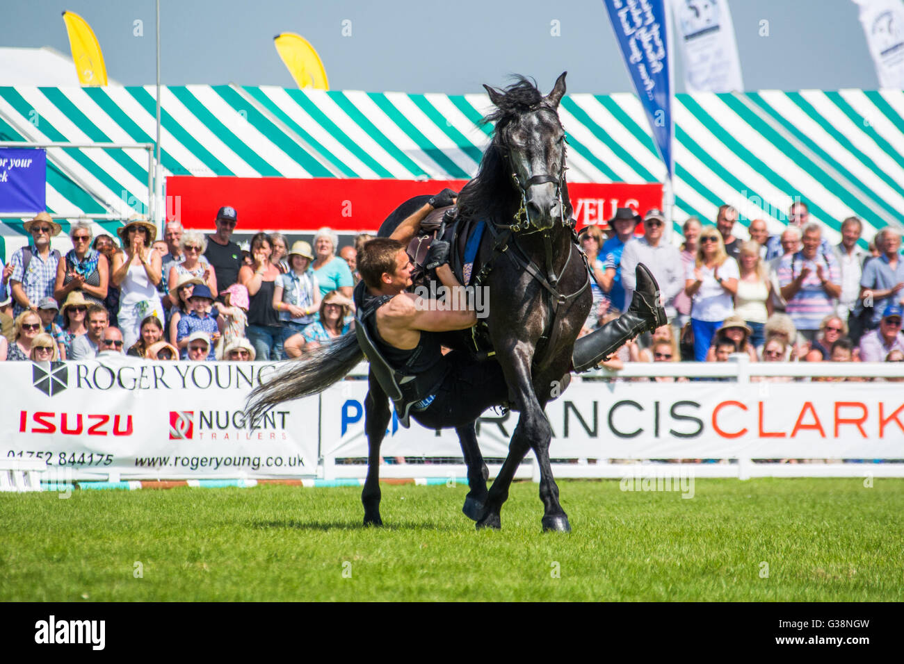 Ben atkinson horse hires stock photography and images Alamy