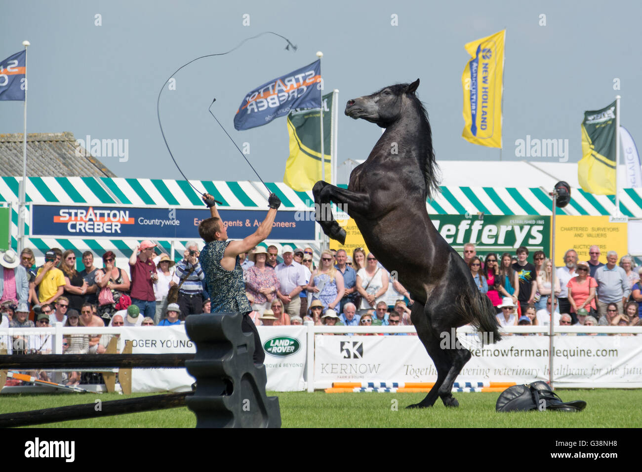 Ben atkinson horse hires stock photography and images Alamy