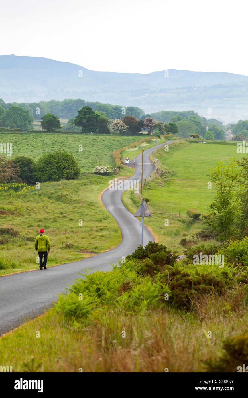 A lone walker walking along a rural lane that meanders through farming