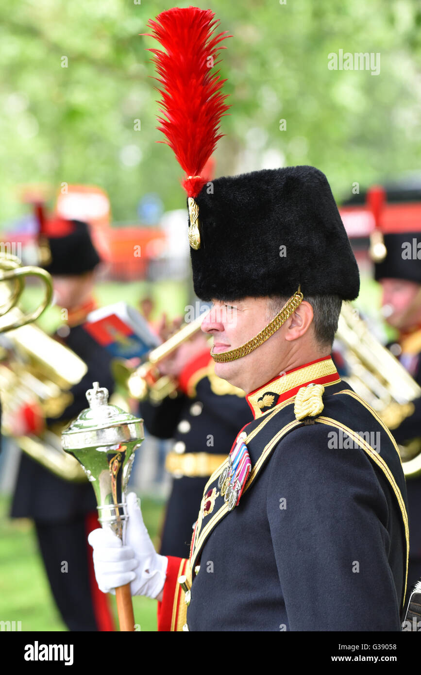 Hyde Park, London, UK. 10th June 2016. Gun Salute to mark 95th birthday