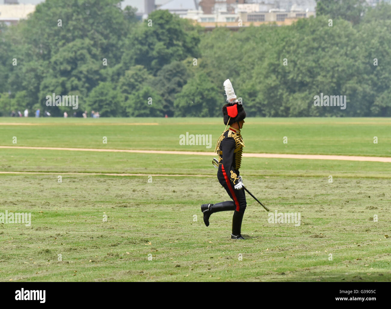 Hyde Park, London, UK. 10th June 2016. Gun Salute to mark 95th birthday