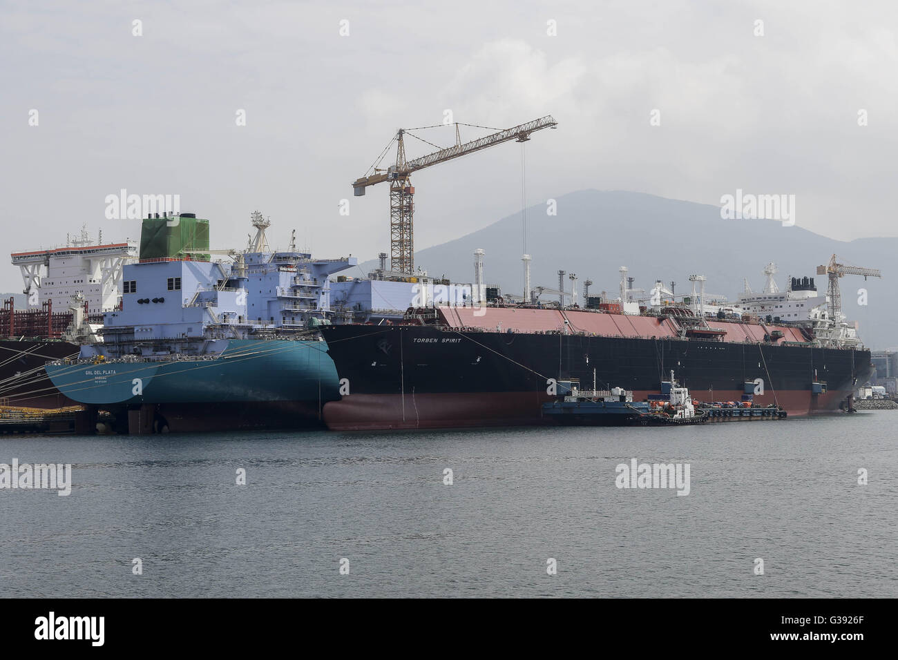 Geoje, Gyeongnam, South Korea. 7th June, 2016. Ships under construction sit moored at the DSME shipyard in Geoje, South Korea. Shipbuilding has been central to South Korea's economy since the 1970s. Ships accounted for 8.5 percent of the country's total exports through June 20 of October 2015, according to the trade ministry. After more than a decade of global dominance, South Korea's shipbuilders face an unprecedented crisis that threatens the very survival of one of the flagship industries of Asia's fourth largest economy. Major South Korean shipbuilders plan to restructure their operations Stock Photo