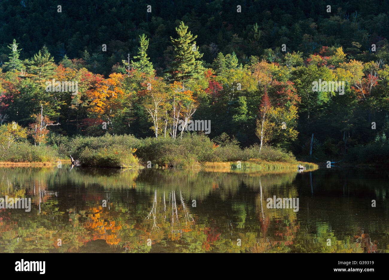 Willey Pond in Autumn, Crawford Notch, White Mountains, New Hampshire ...