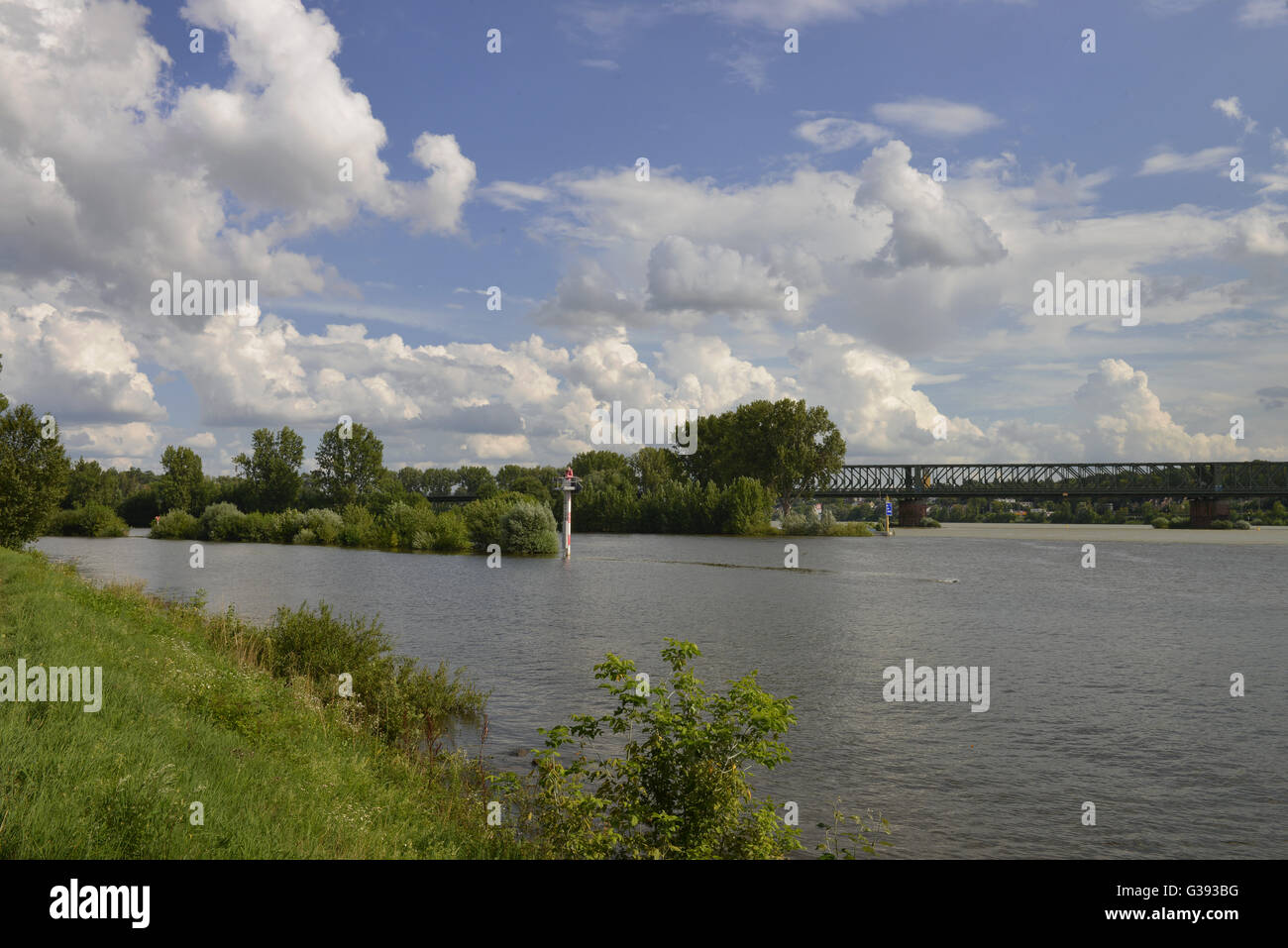Main estuary, Hesse, Germany Stock Photo