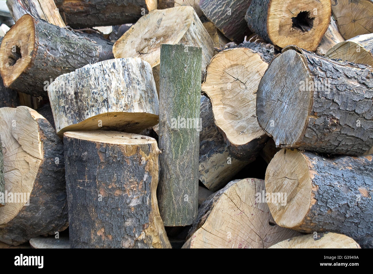 Pile of stumps Stock Photo