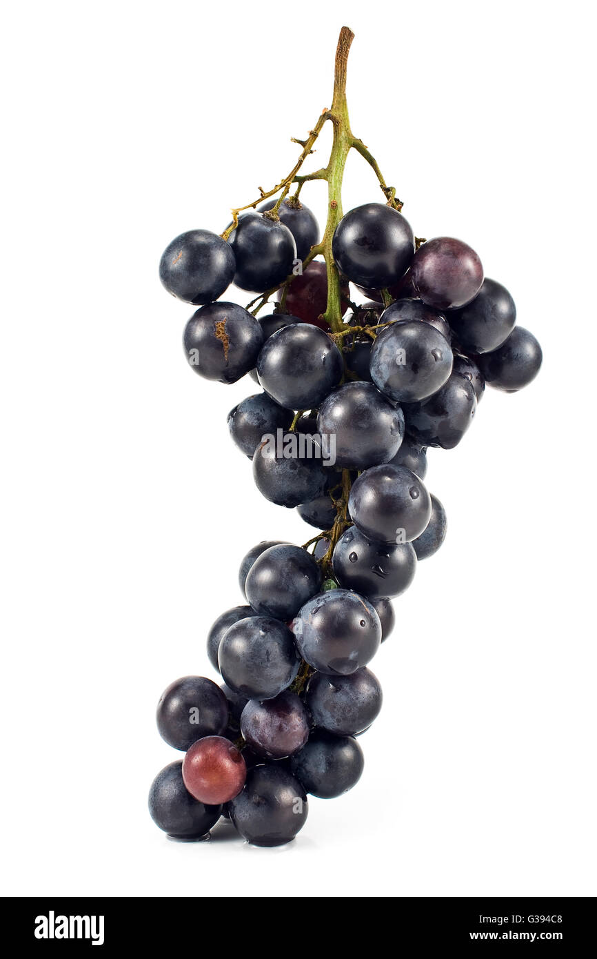 Blue grape isolated on white background Stock Photo