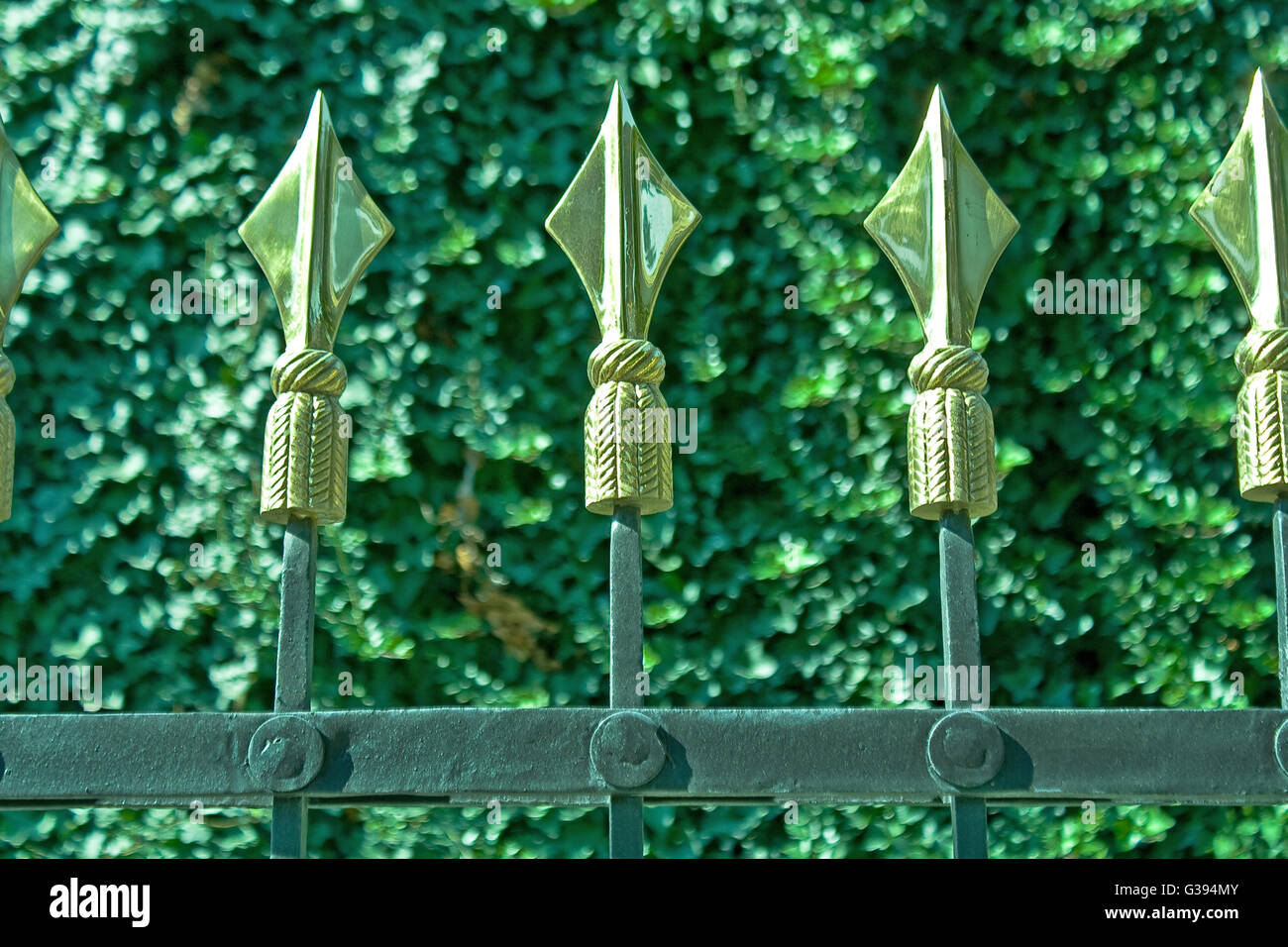 Golden spikes on iron fence over green plant Stock Photo