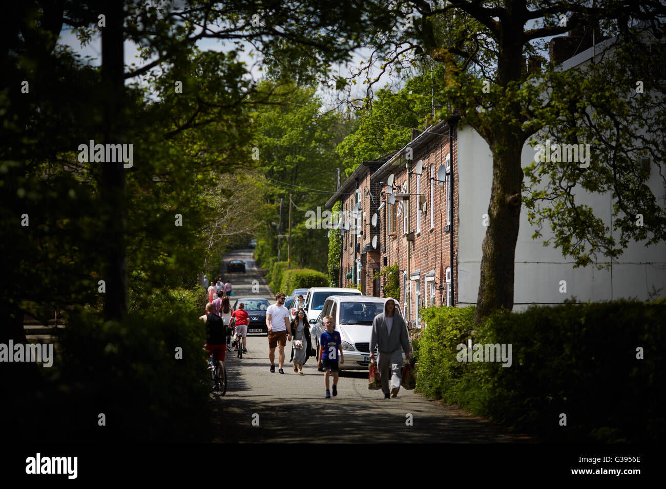 Reddish Vale terraced cottages Stockport country park Private Houses