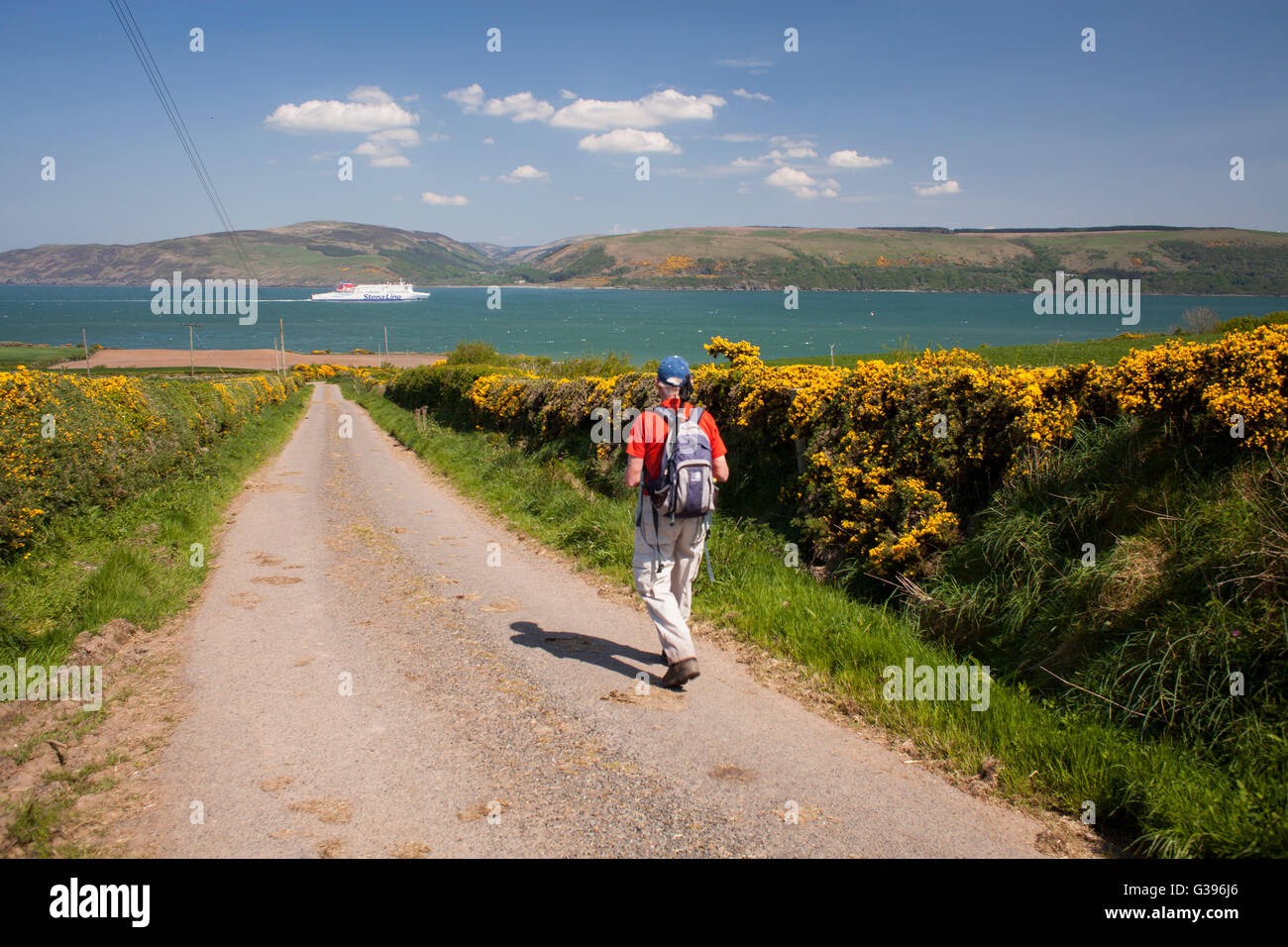 Coast walking down quiet country road to Portbeg with ferry on Loch Ryan heading into Cairnryan. Scenic coastal walk Stock Photo