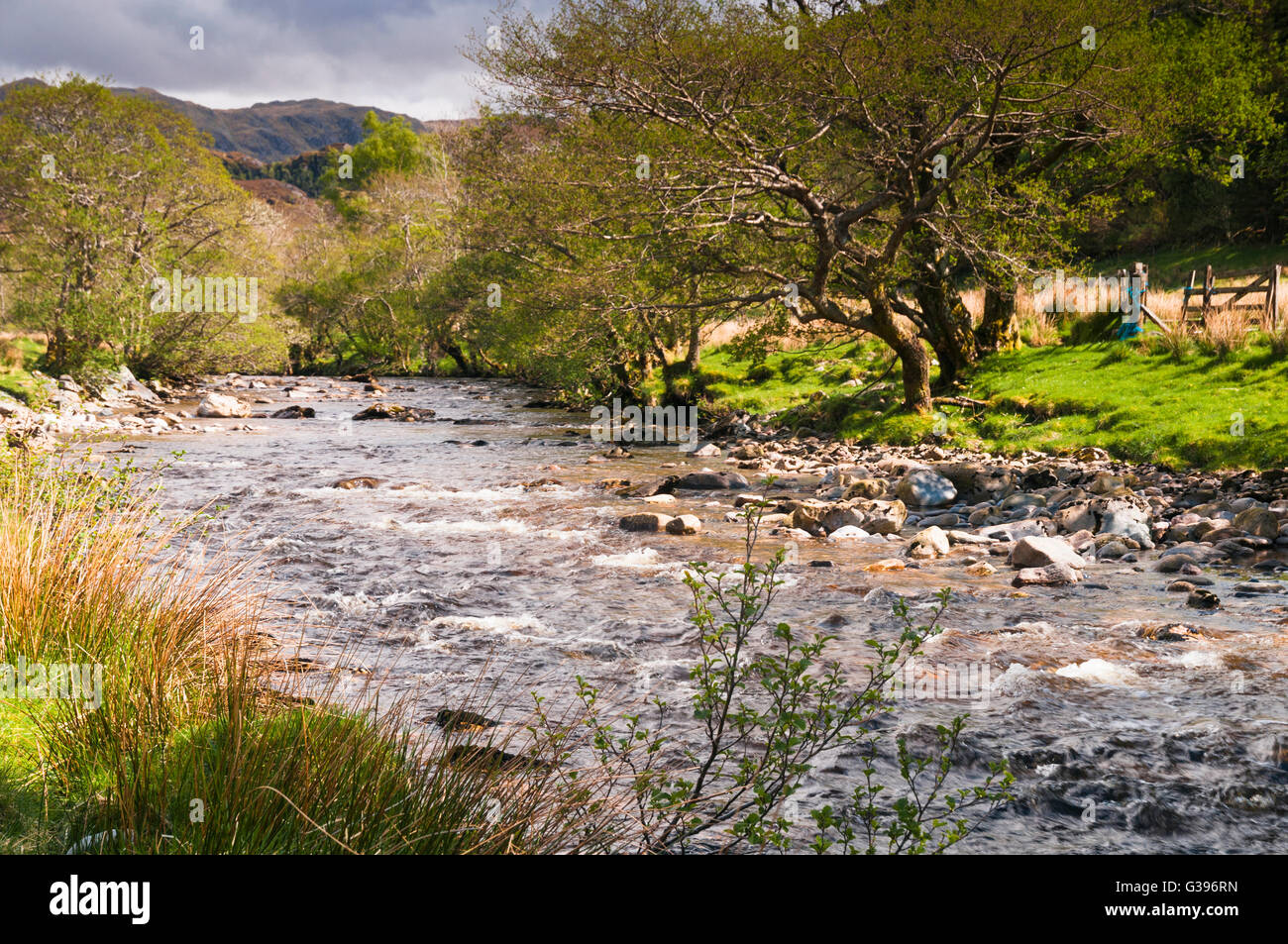 The river Abhainn a' Ghlinne Bhig running down Gleann Beag near Glenelg in Lochalsh, an area of the Scottish highlands. Stock Photo