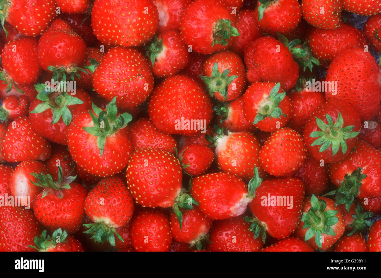 Close up juicy strawberries hi-res stock photography and images - Alamy
