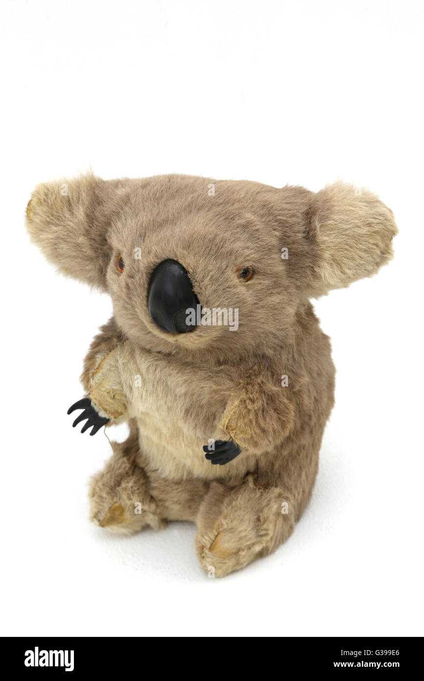 1960s koala made from kangaroo fur Stock Photo - Alamy
