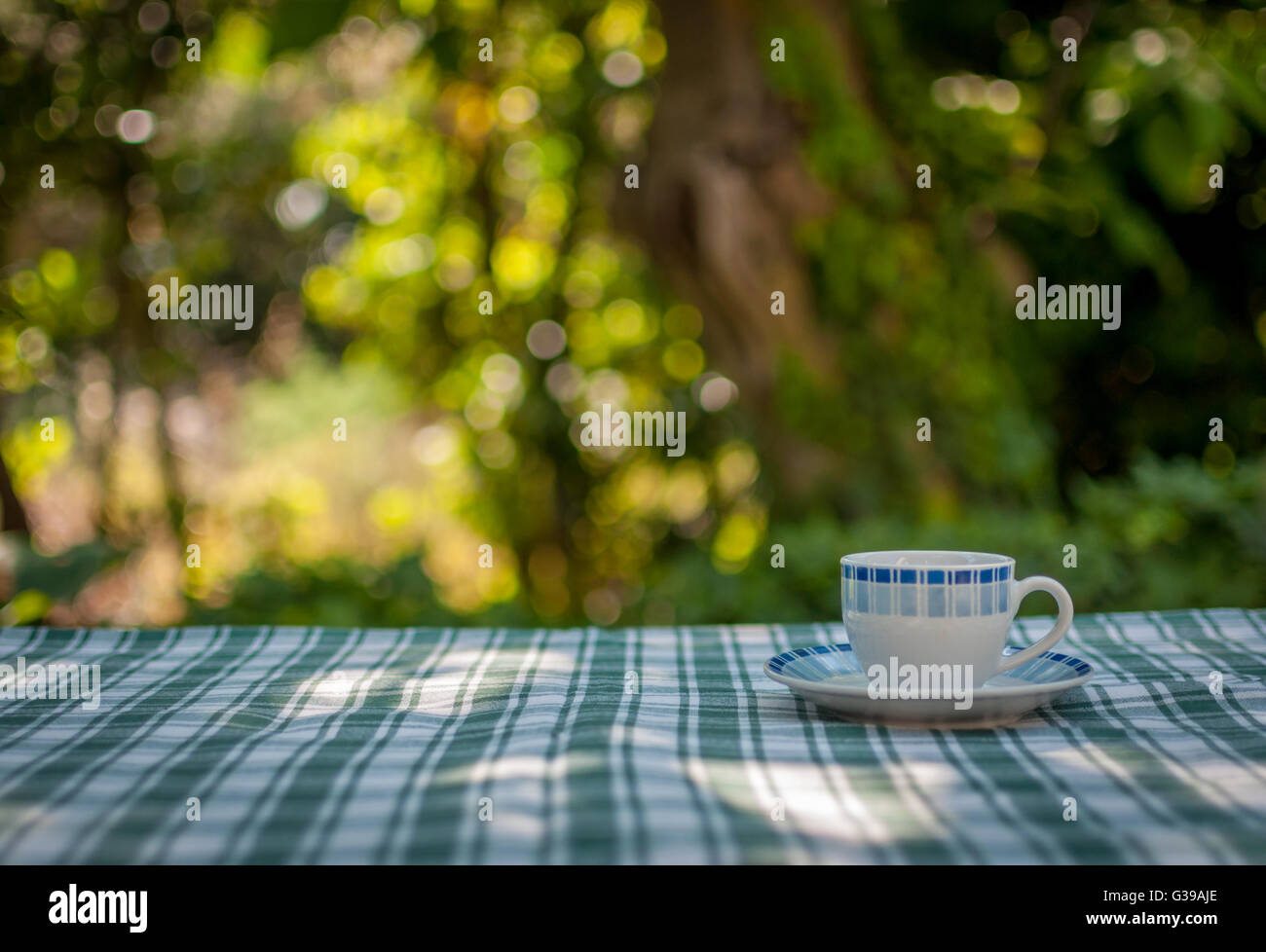 Ice coffee in glass mug with milk and cinnamon on wooden table in the  garden Stock Photo - Alamy