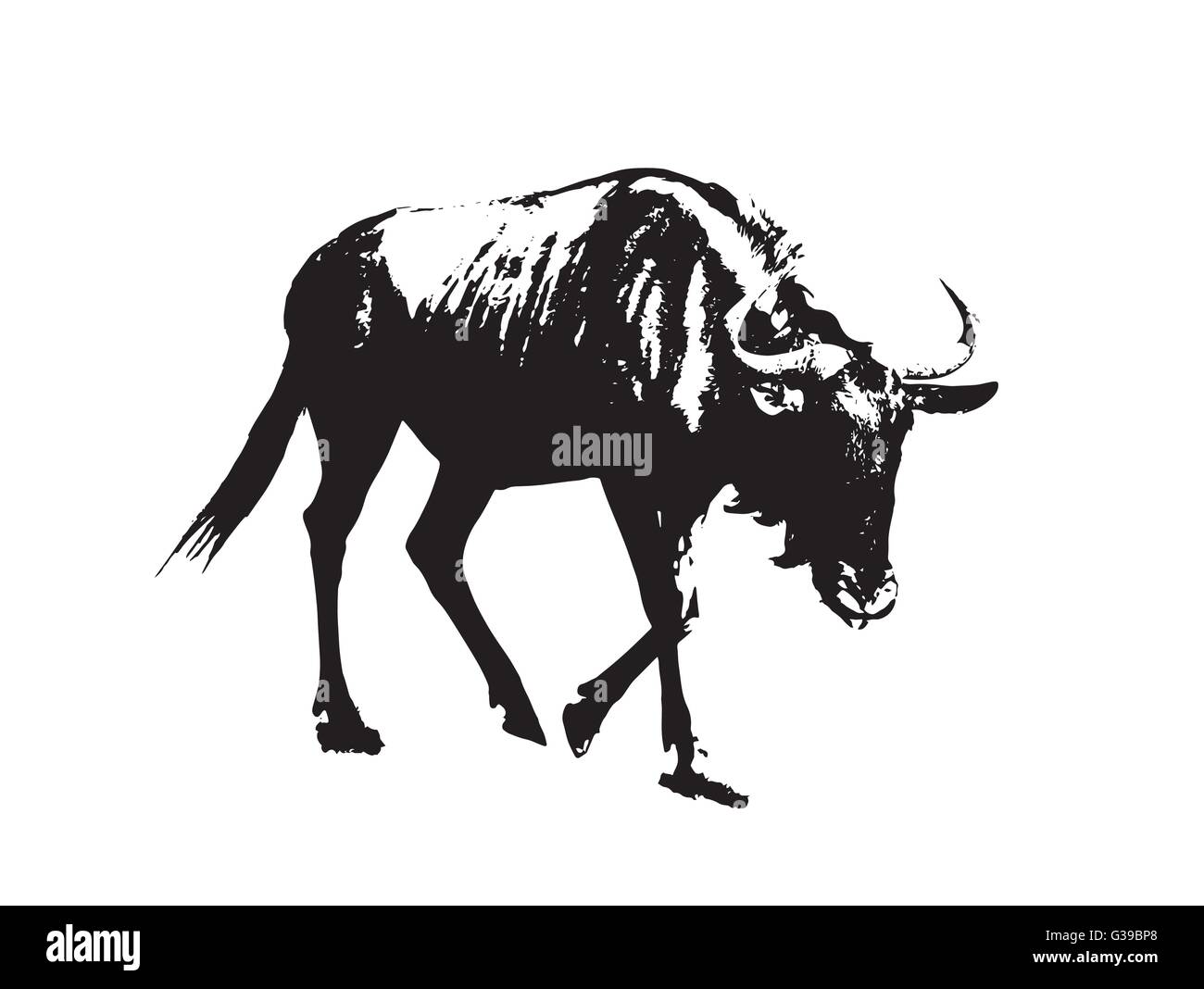 Blue wildebeest - Connochaetes taurinus. Black and white vector graphic. Antelope in picture. Animal scene. Stock Vector