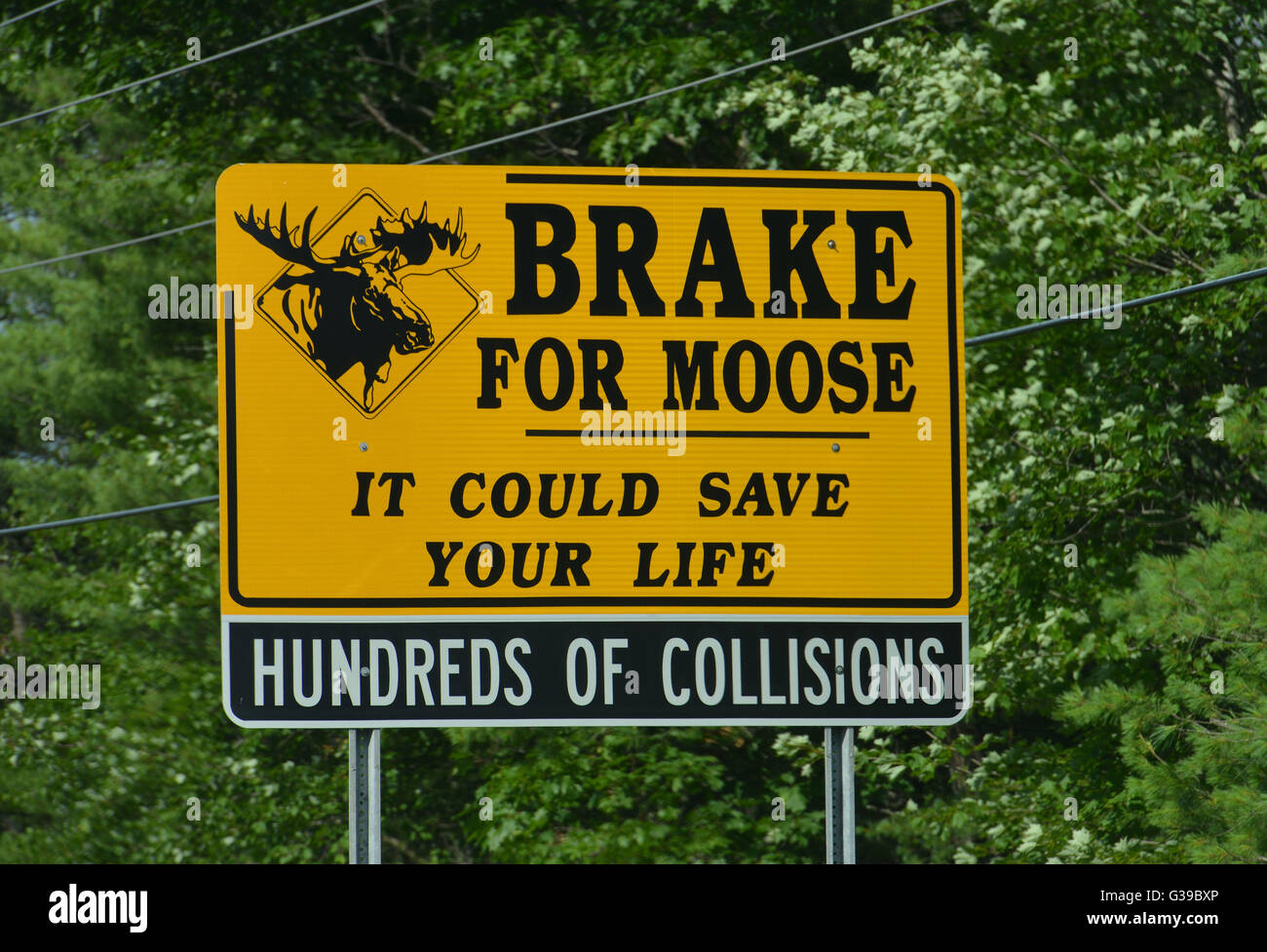 Road sign, brake for moose, Highway 16, Conway, New Hampshire, USA Stock Photo