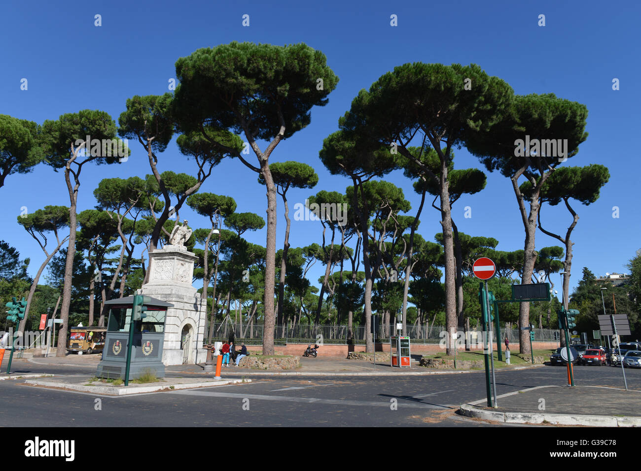 Pinien, Garten, Villa Rom, Italien Stock Photo Alamy