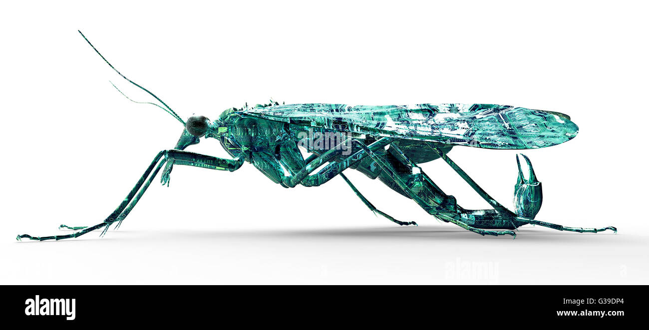digital safety concept computer bug isolated on white. Stock Photo