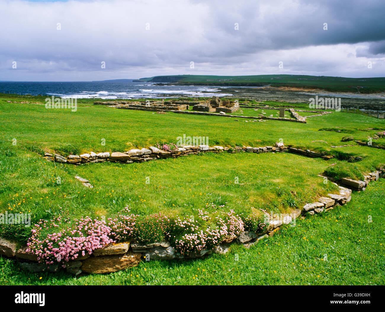 A Viking-age (c AD800-C12th) domestic hall-house (long hall, aisled hall) on the tidal island of Brough of Birsay, off Mainland, Orkney. Stock Photo