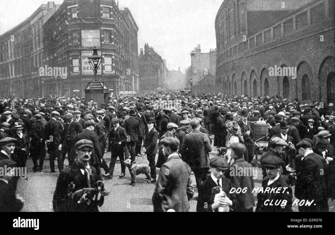 The Dog Market at Club Row (near Brick Lane) in the East End of London
