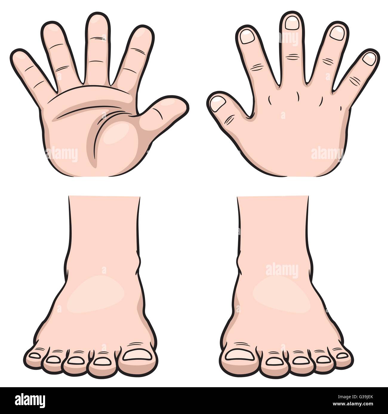 Vector illustration of hands and feet Stock Vector