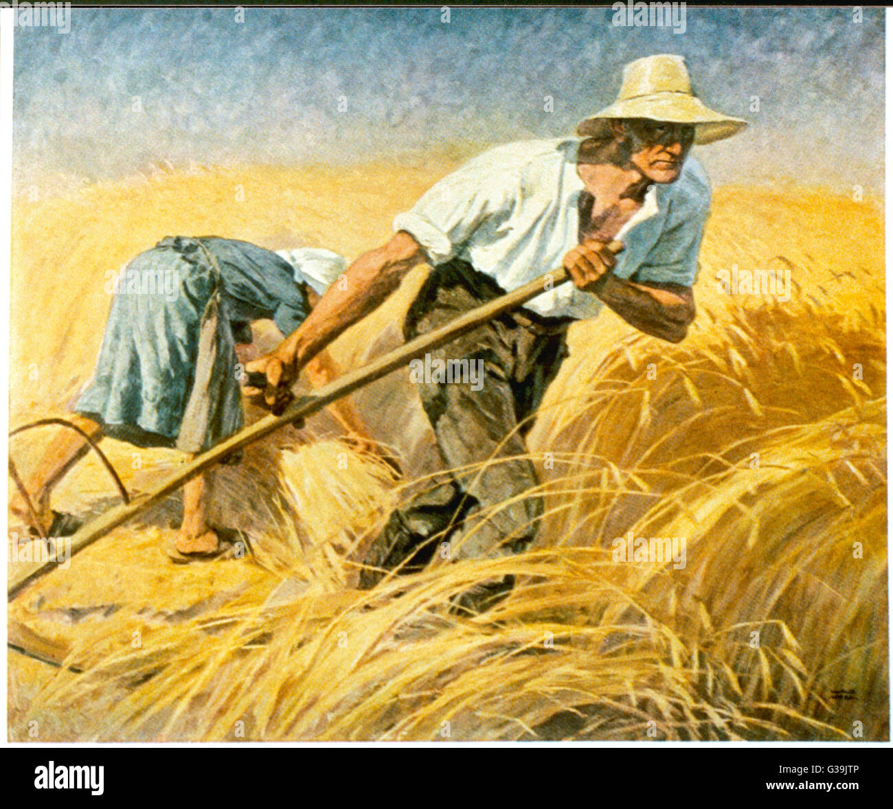 &quot;Cutting The Harvest&quot;  A farmer and his wife  harvesting together in  the scorching sunshine.      Date: circa 1940 Stock Photo