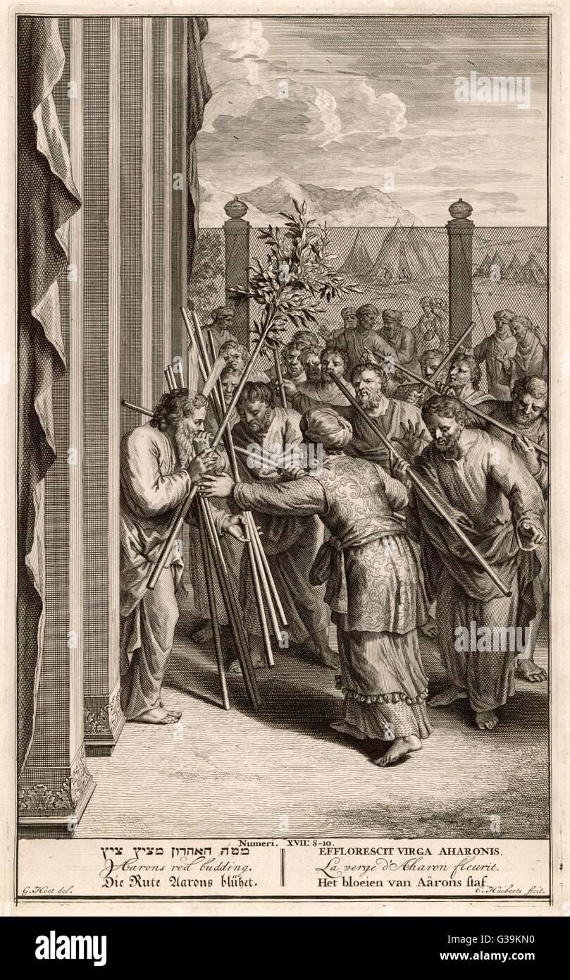 When Aaron's magic rod starts  to bud, his priestly status is  acknowledged by the Israelites  and they recognise his  authority which earlier they  had questioned Stock Photo
