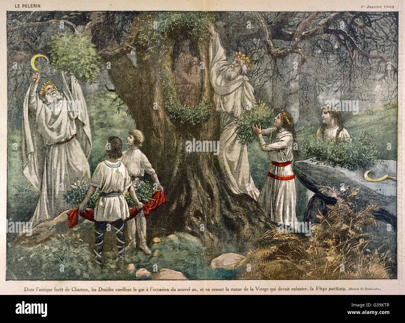 In a forest near Chartres,  France, druids collect  mistletoe for ritual purposes        Date: BC Stock Photo