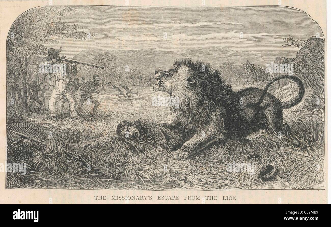 He is saved from the jaws  of a lion          Date: 1874 Stock Photo