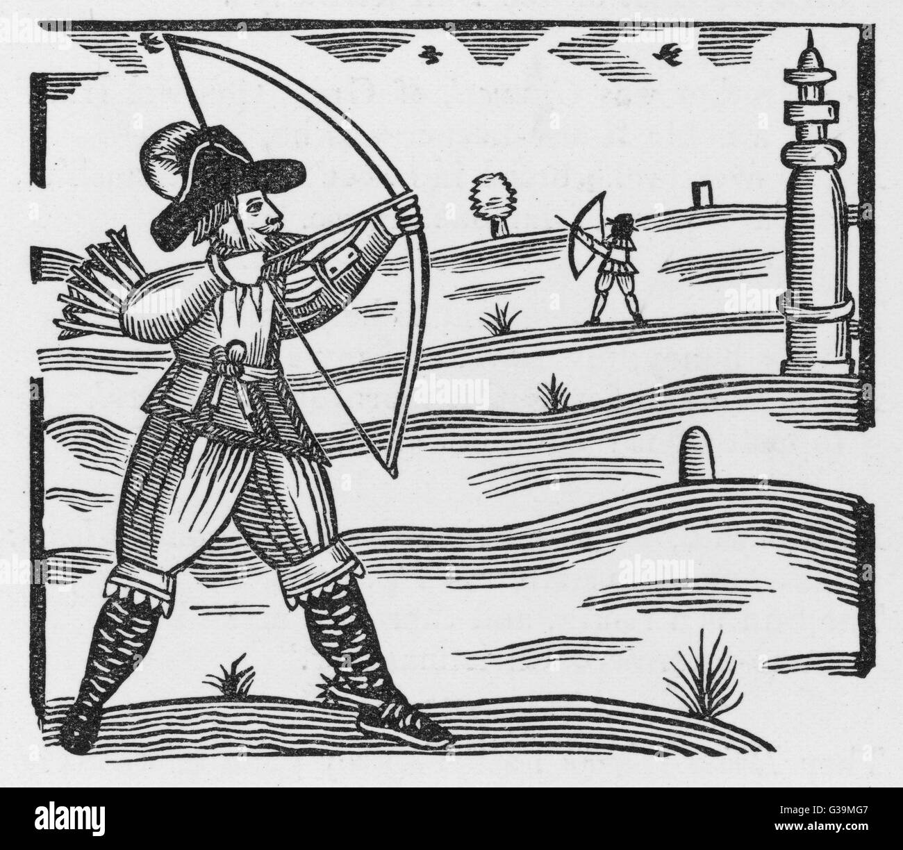 Robin hunting birds : but what that mysterious pillar is, goodness only ...