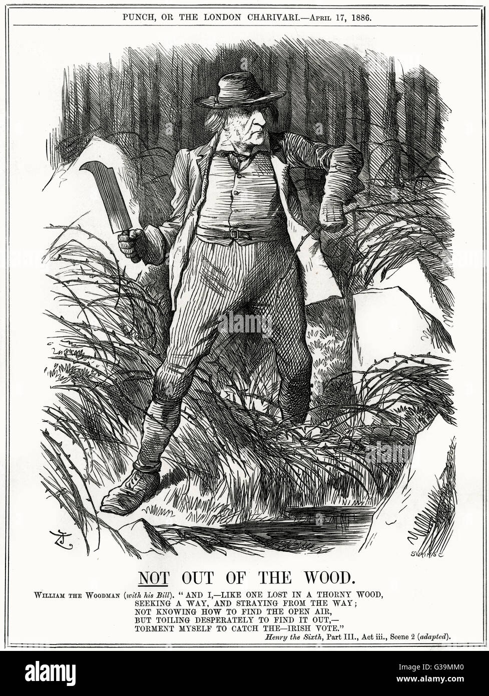 Cartoon, Not Out of the Wood (Gladstone) Stock Photo