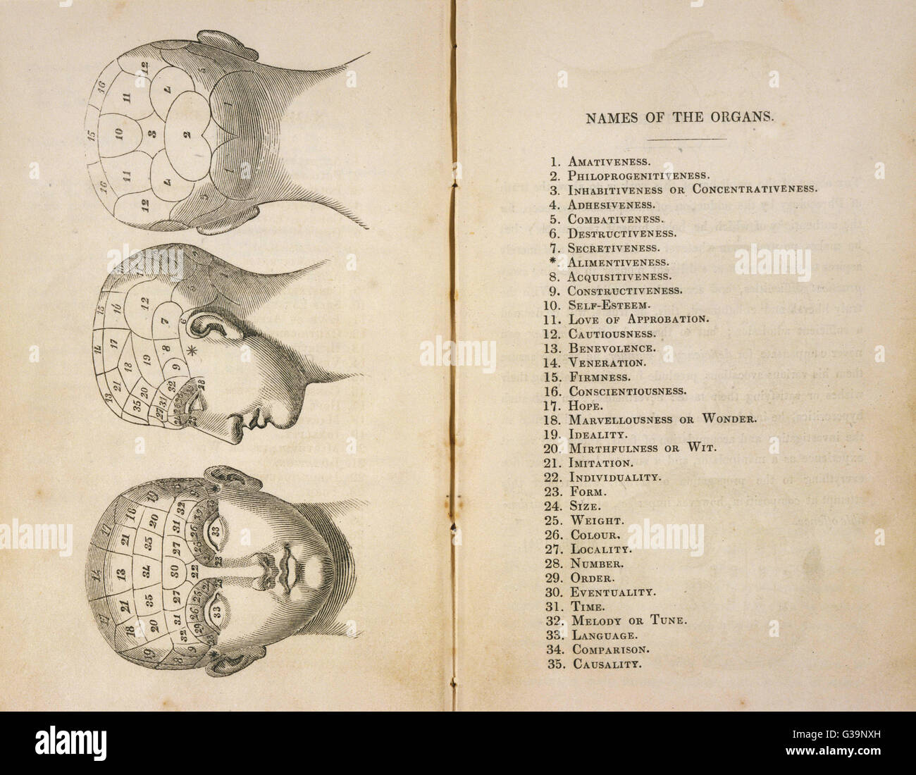 De Ville's Phrenological Head  seen from front, side and back         Date: 1841 Stock Photo