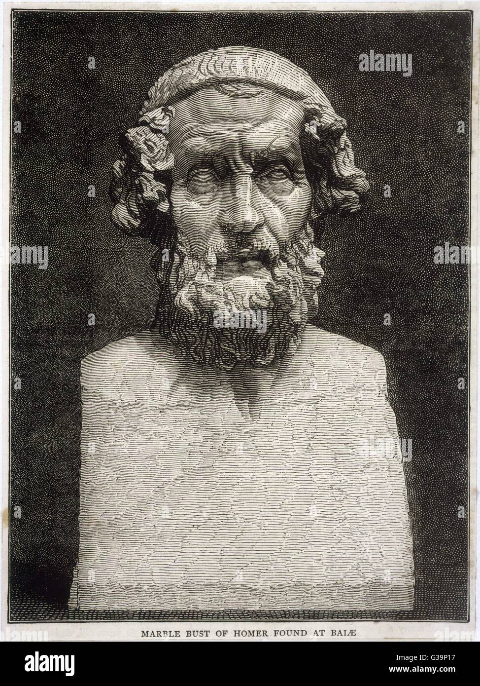 homer sb