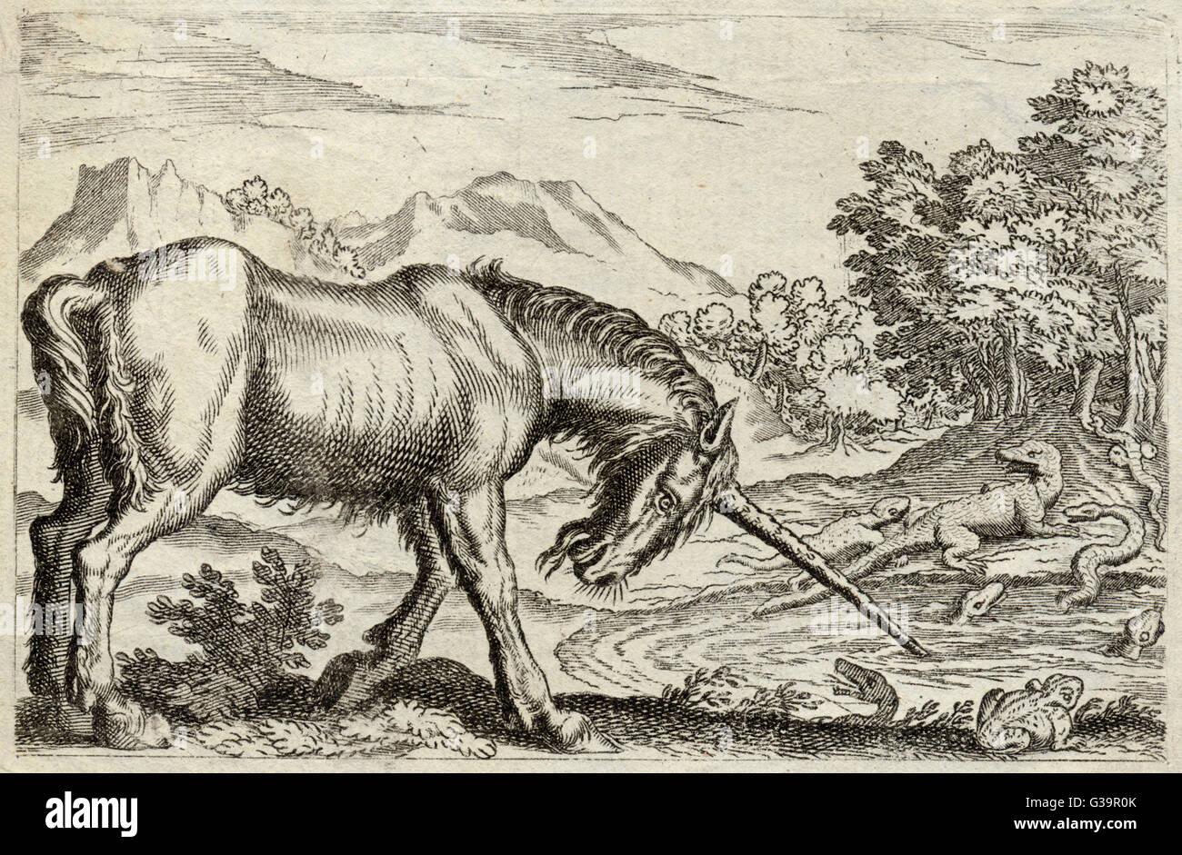 A unicorn, with assorted  reptiles, and a Latin motto:  &quot;Not with might, but with  virtue&quot;      Date: 17th century Stock Photo