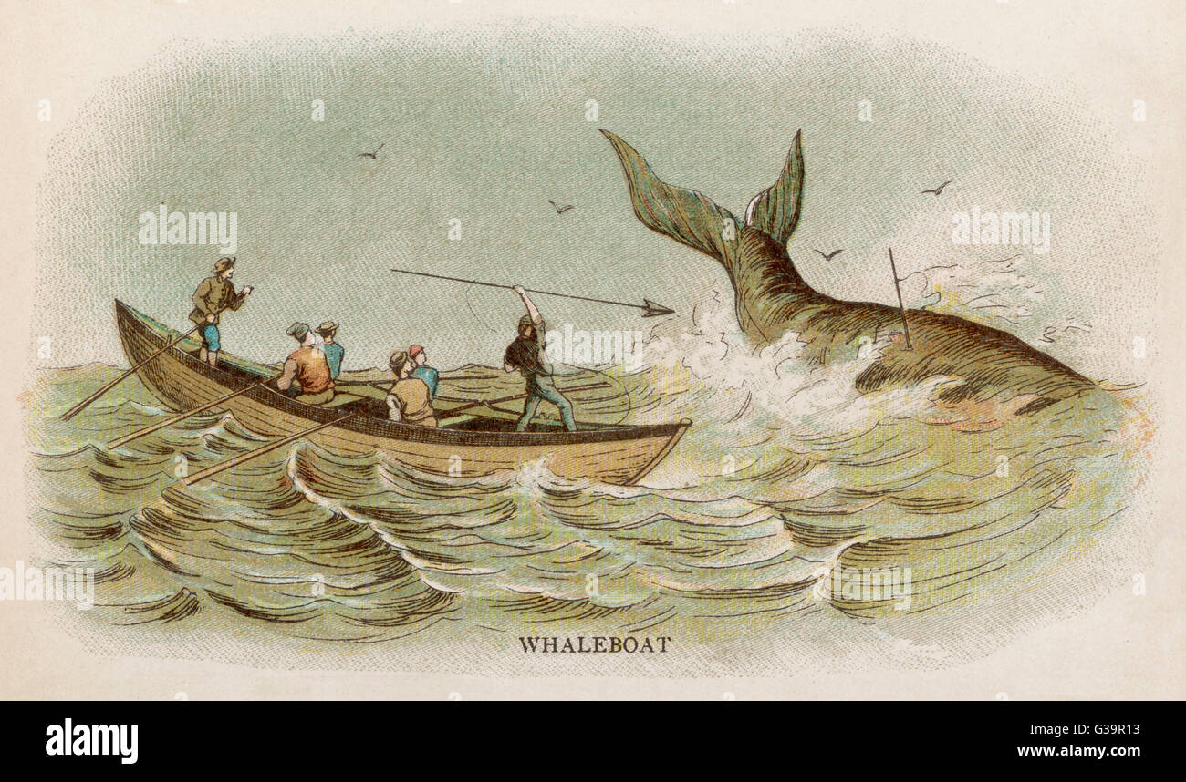 Whaling in 1880 Stock Photo