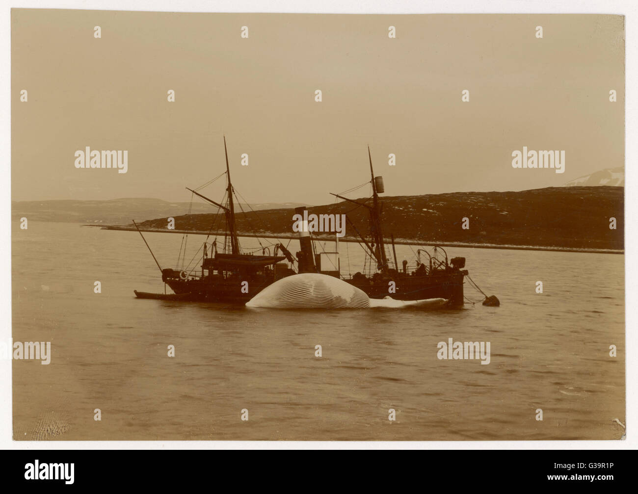 NORWEGIAN FISHING BOAT Stock Photo - Alamy