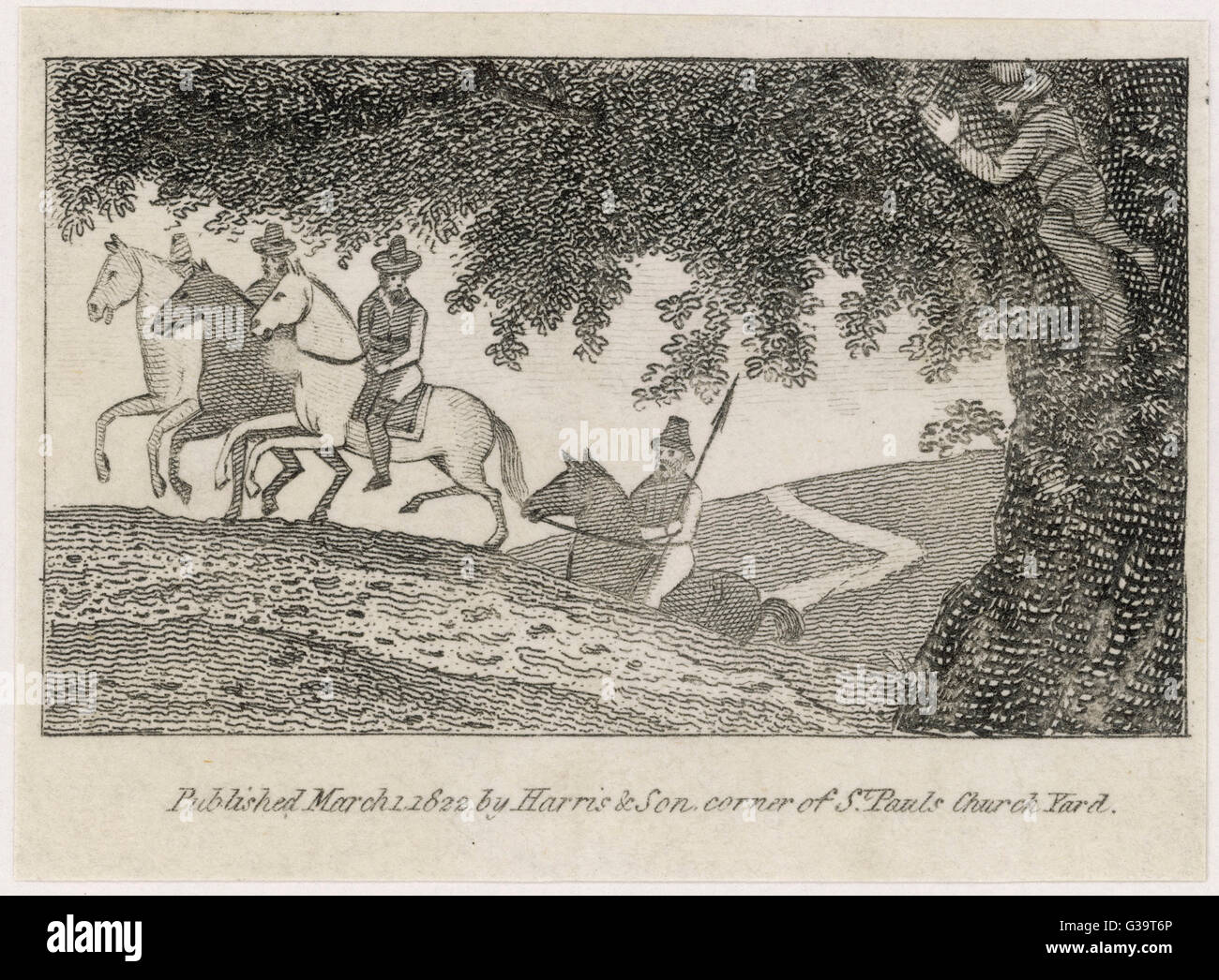 King charles ii oak tree hires stock photography and images Alamy