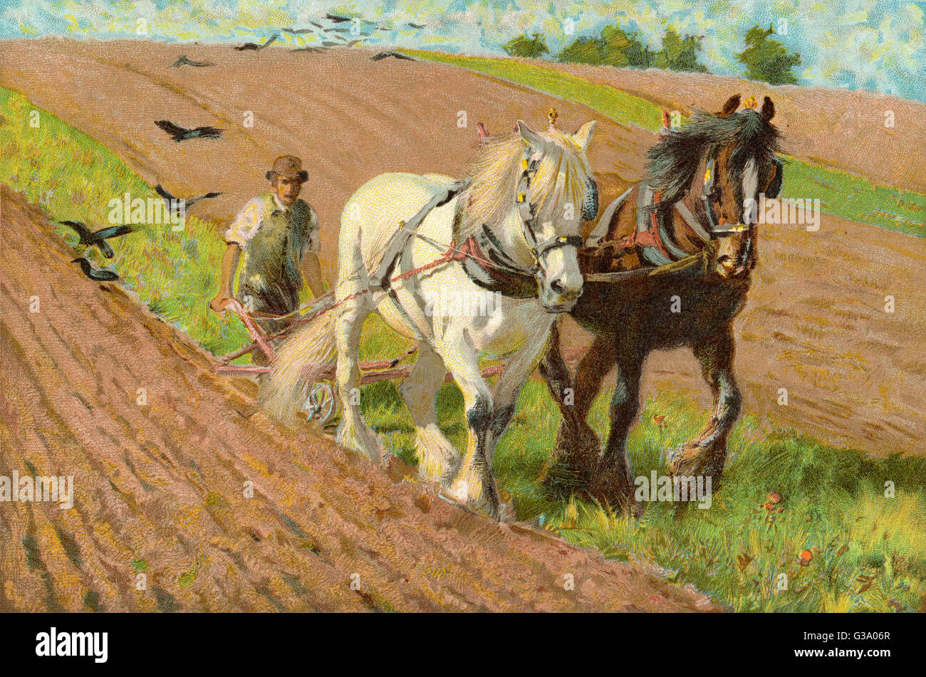 History of horses hires stock photography and images Alamy