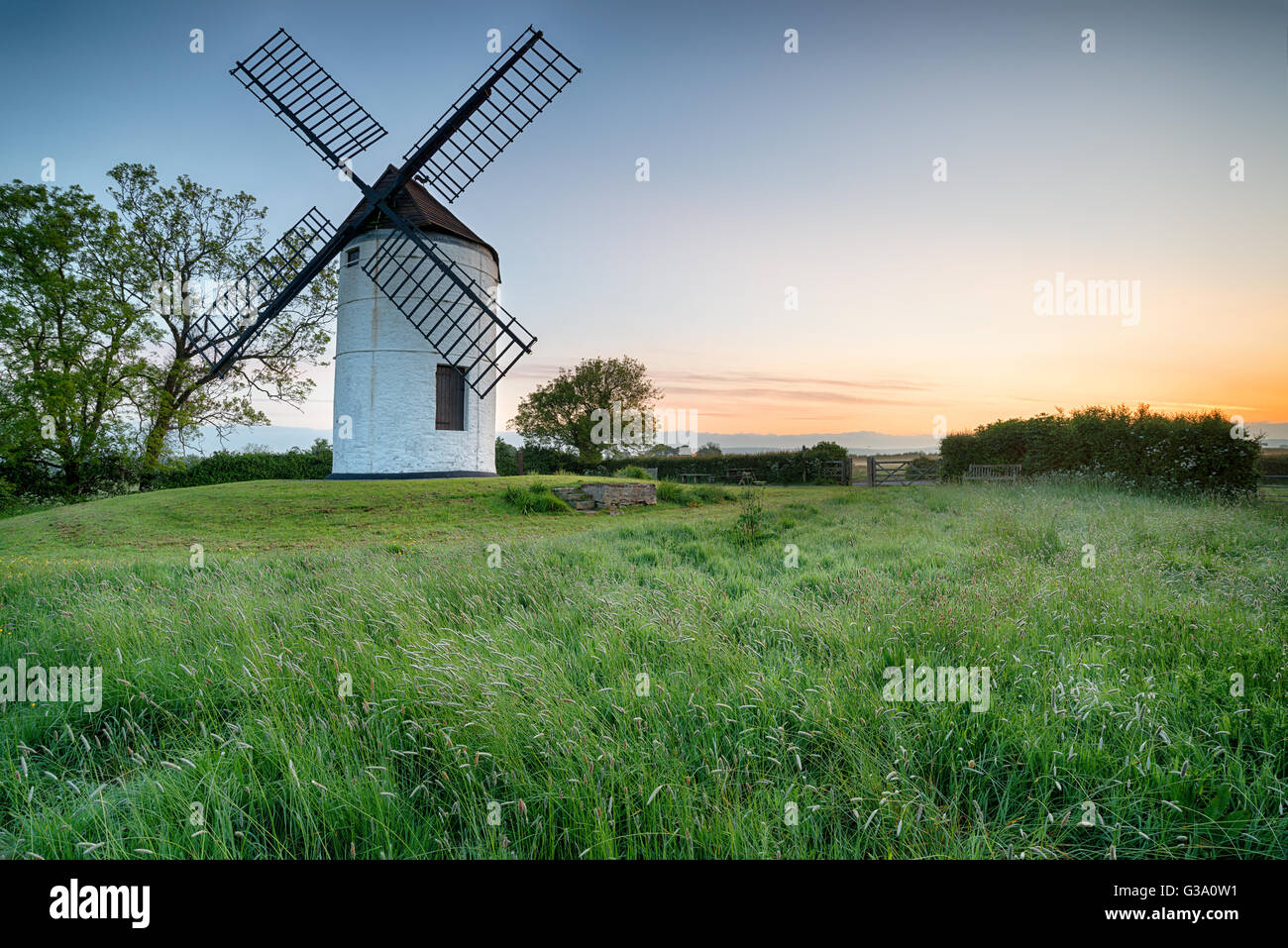 Dawn at Ashton Windmill in Somerset Stock Photo
