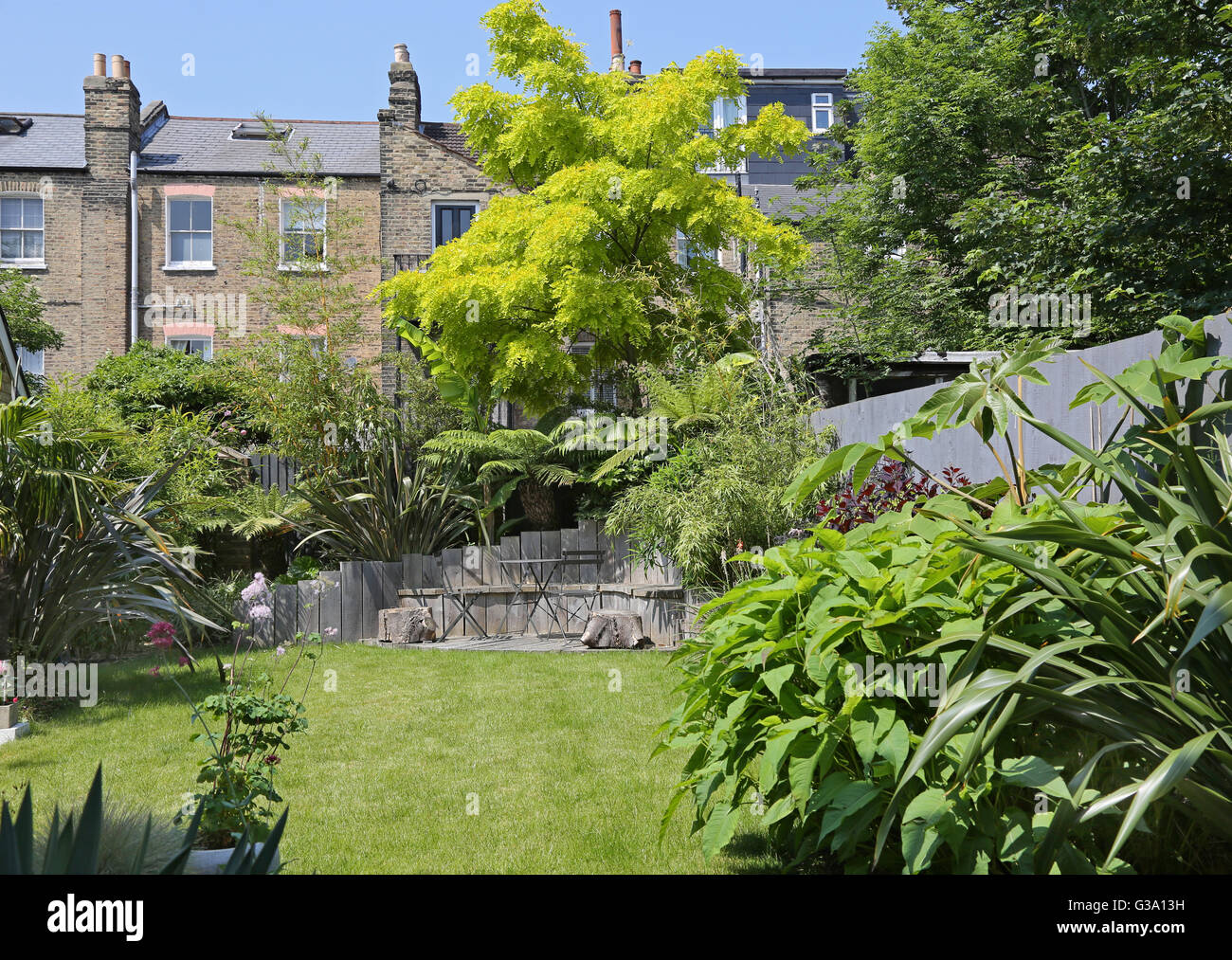 A secluded London back garden with large, evergreen architectural plants including tree ferns, bamboo, bananas and Robinia tree Stock Photo