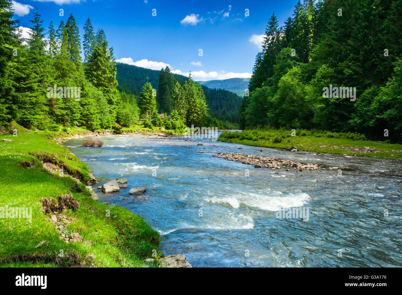 landscape with mountains trees and a river in front Stock Photo