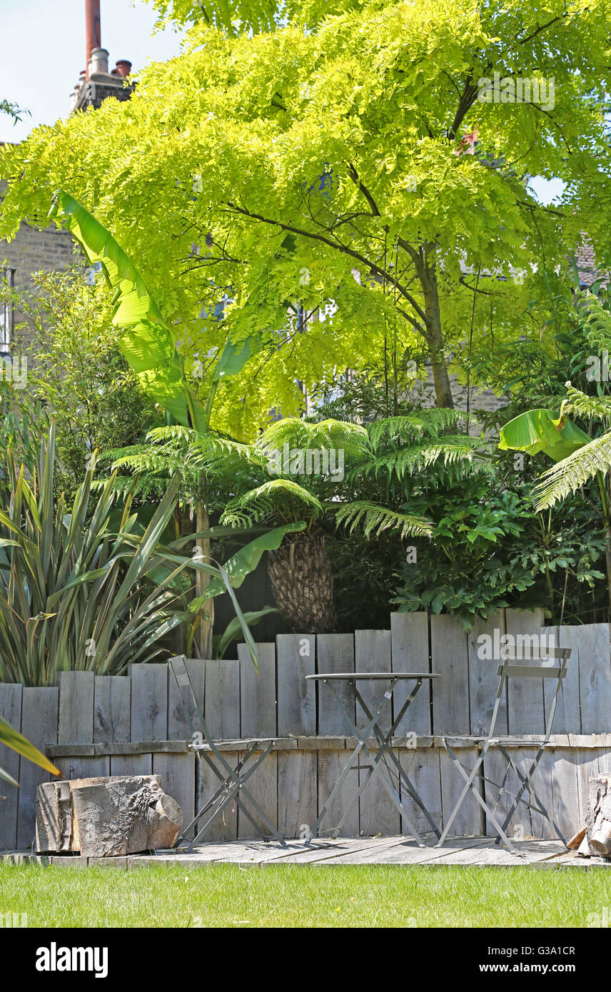 A secluded London back garden featuring large, evergreen architectural plants including tree ferns, bamboo, bananas and japonica Stock Photo